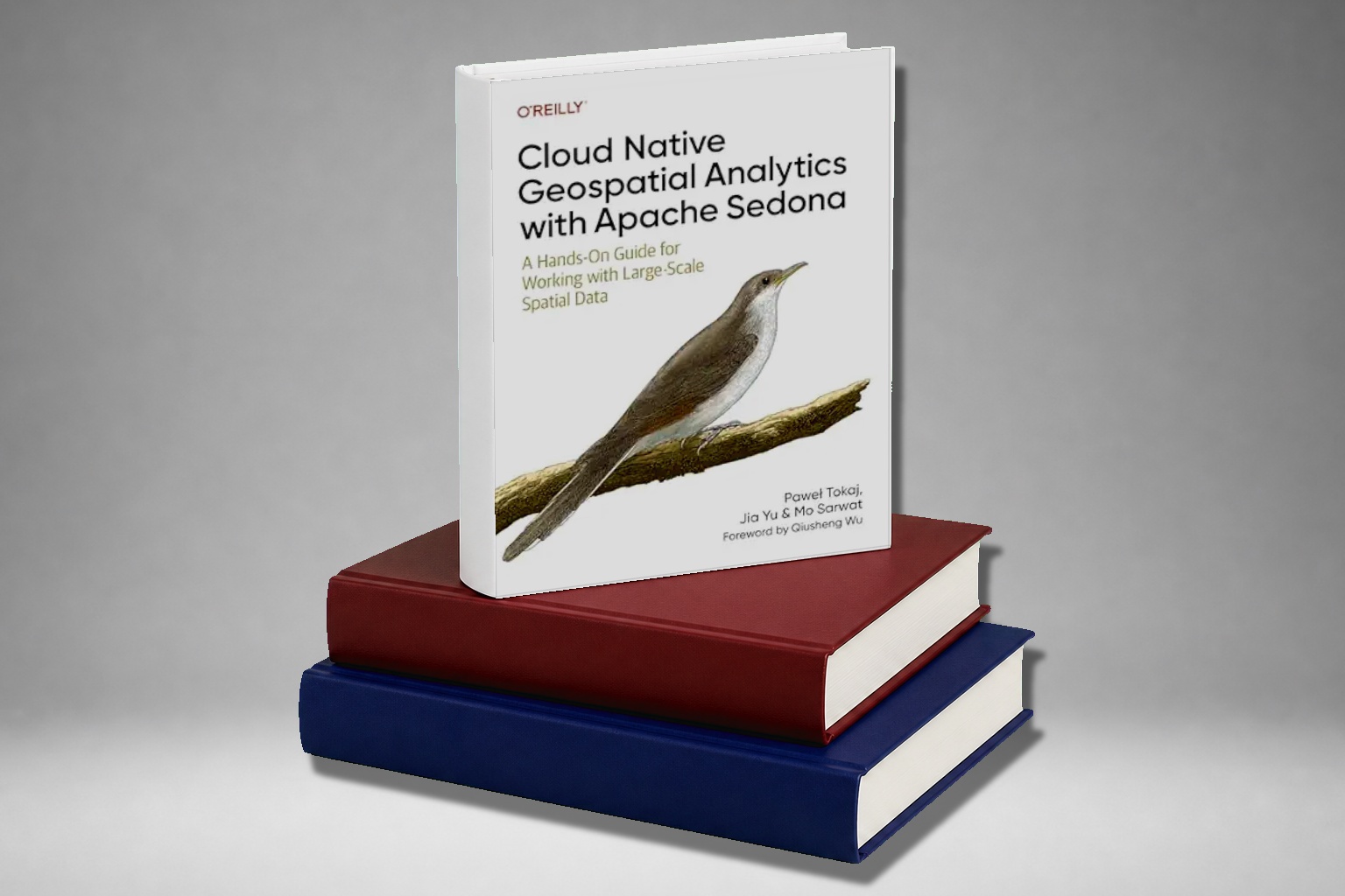 Cloud Native Geospatial Analytics With Apache Sedona A Hands On Guide ...