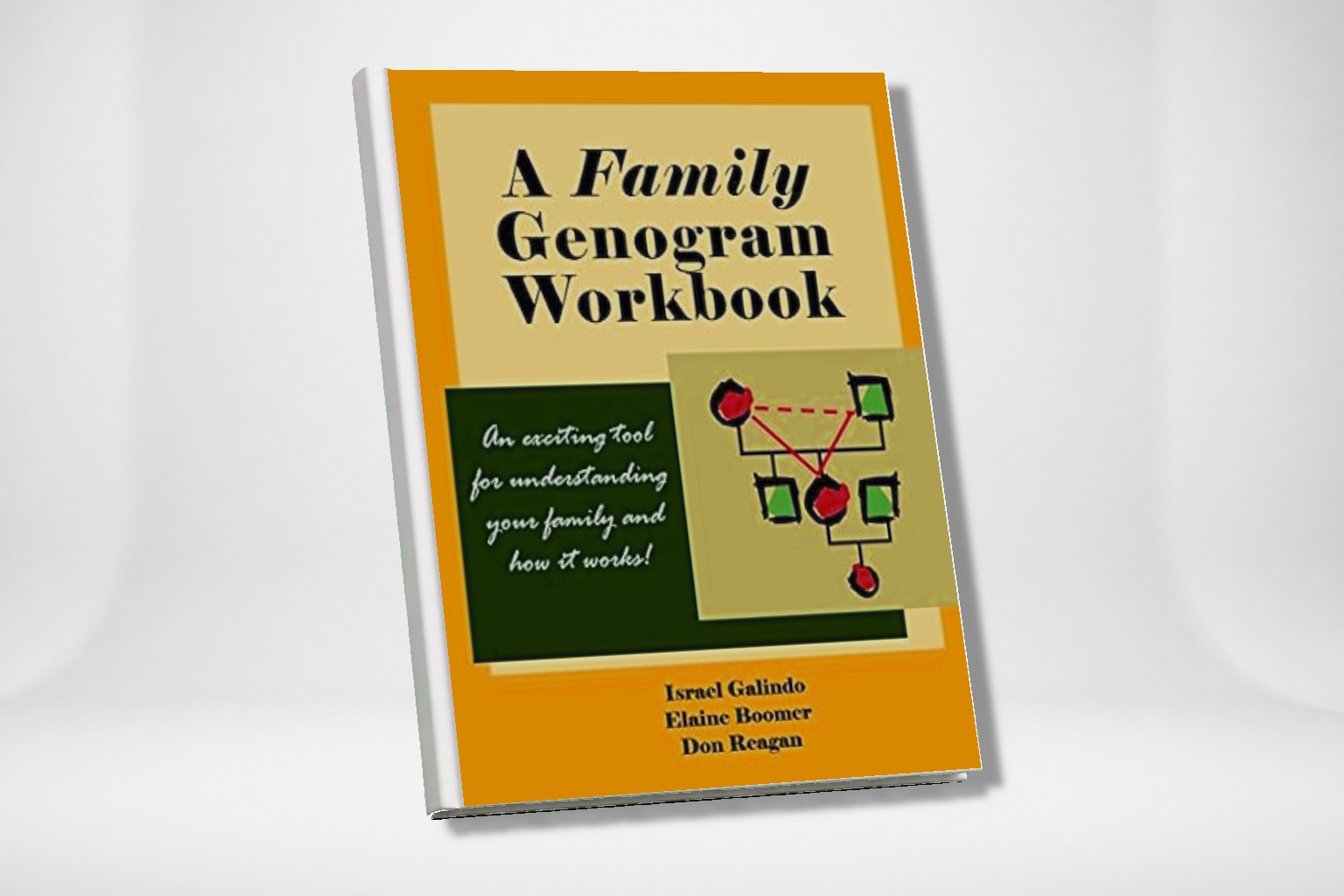 Genogram Books A Family Genogram Workbook An Exciting Tool For Understanding Your ...