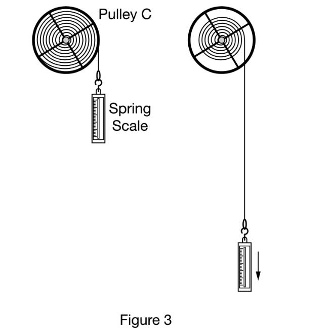 [SOLVED] a) Two identical spring scales are each attached to a cord (1 ...
