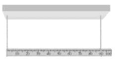 [SOLVED] A uniform meter stick with a mass of 180 g is (1 Answer ...