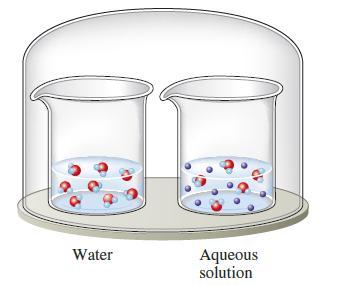 [SOLVED] The two beakers in the sealed container illustrated below ...